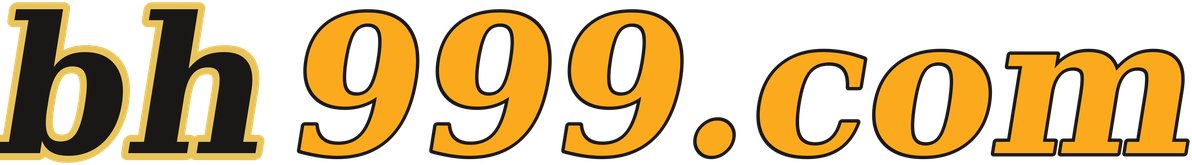 bh999.com logo